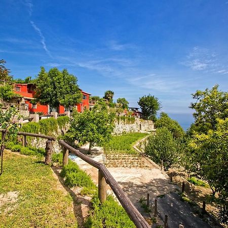 Agriturismo Pera Di Basso อีสเกีย ภายนอก รูปภาพ